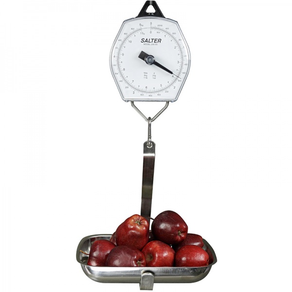 Salter Brecknell 235-6S-220/100 Dual-Marked Mechanical Hanging Scale, 220lb  Capacity, 1lb Increments, Corrosion Resistant